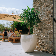 Pot LAFONTAINE 69x65cm perle