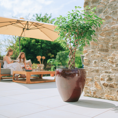 Pot LAFONTAINE 69x65cm rouge brique