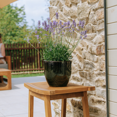 Pot LANCELOT 21x19cm vert tropical