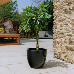 LANCELOT Pot 29x26cm black