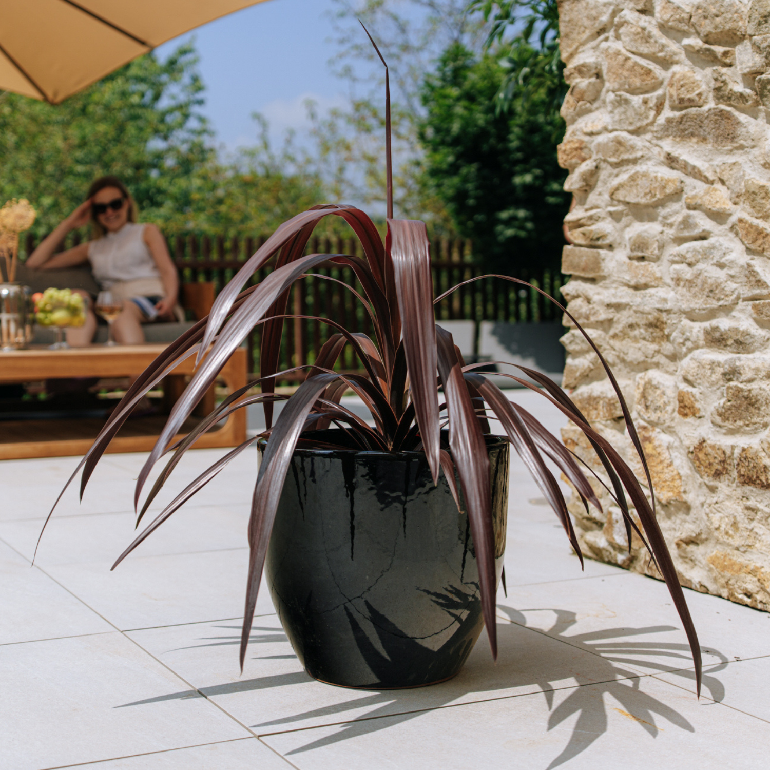 Pot LANCELOT 36x34cm noir Provencelia