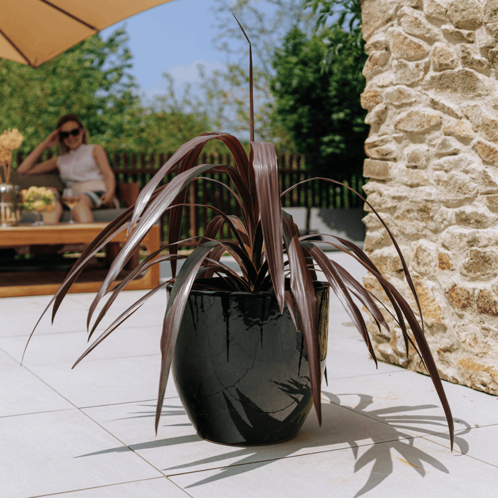 Macetero LANCELOT 36x34cm negro
