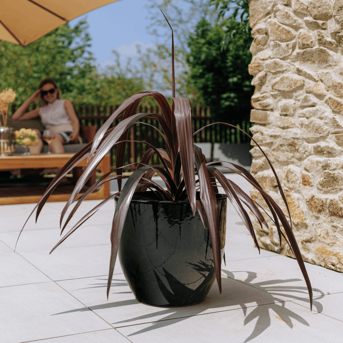 Macetero LANCELOT 36x34cm negro Provencelia