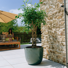 Pot LANCELOT 47x41cm jade