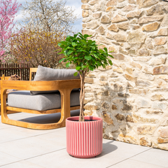 LONDON Pot 29x30cm Pink