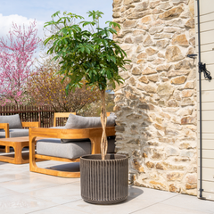 Vaso LONDON 42x39cm nero