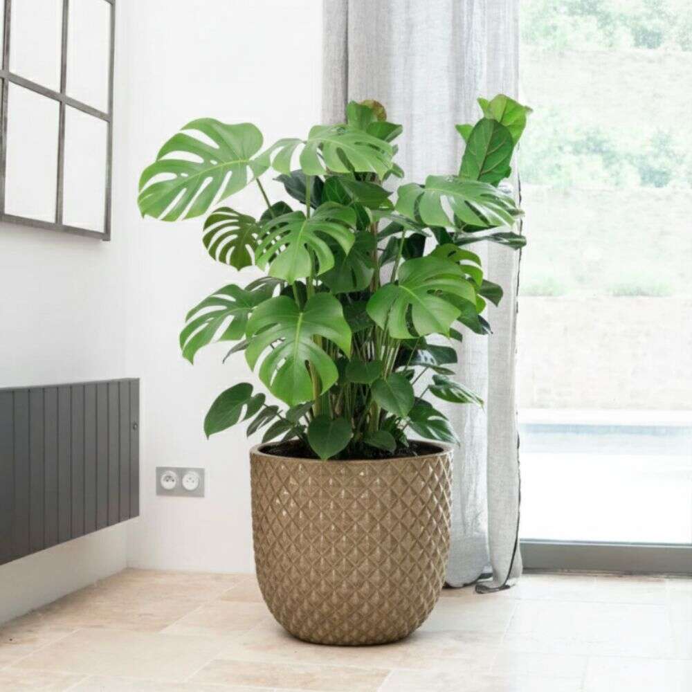 Pot MARS 30x30cm bronze sablé Provencelia