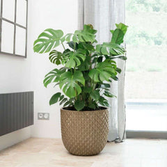 MARS Pot 30x30cm sanded bronze