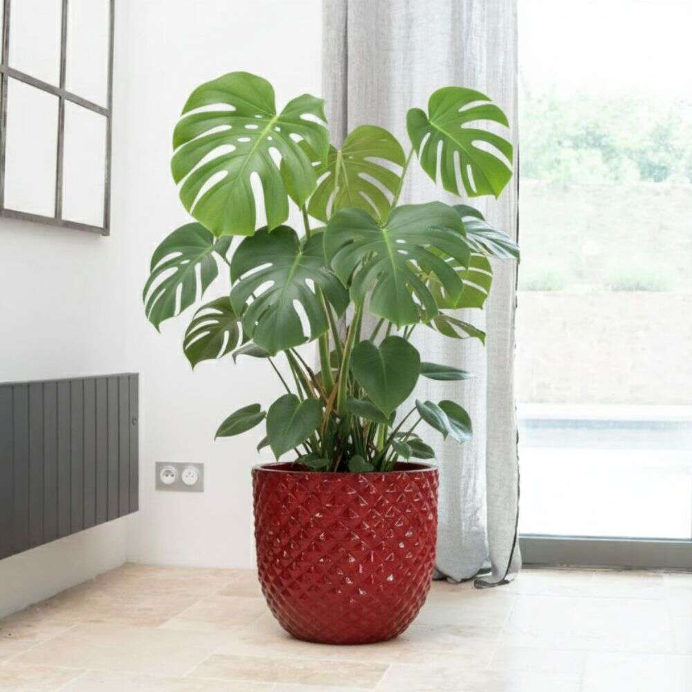 Pot MARS 30x30cm rouge impérial Provencelia