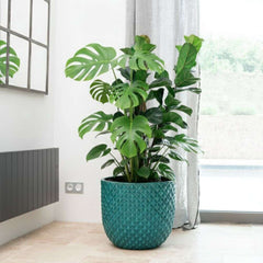 MARS Pot 30x30cm turquoise