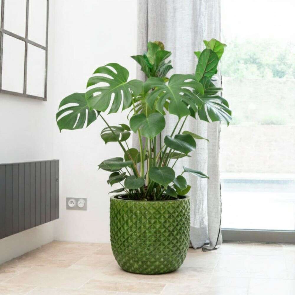 Pot MARS 30x30cm vert pomme Provencelia