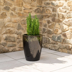 Pot MAZARIN 27x34cm noir & vert