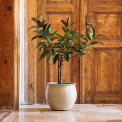 Pot NEWTON 34x28cm crème