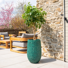 Pot PARIS 39x63cm vert sapin