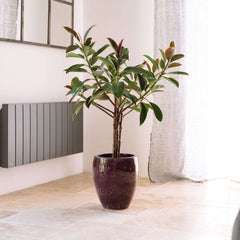 POSEIDON2 Pot 36x43cm light purple