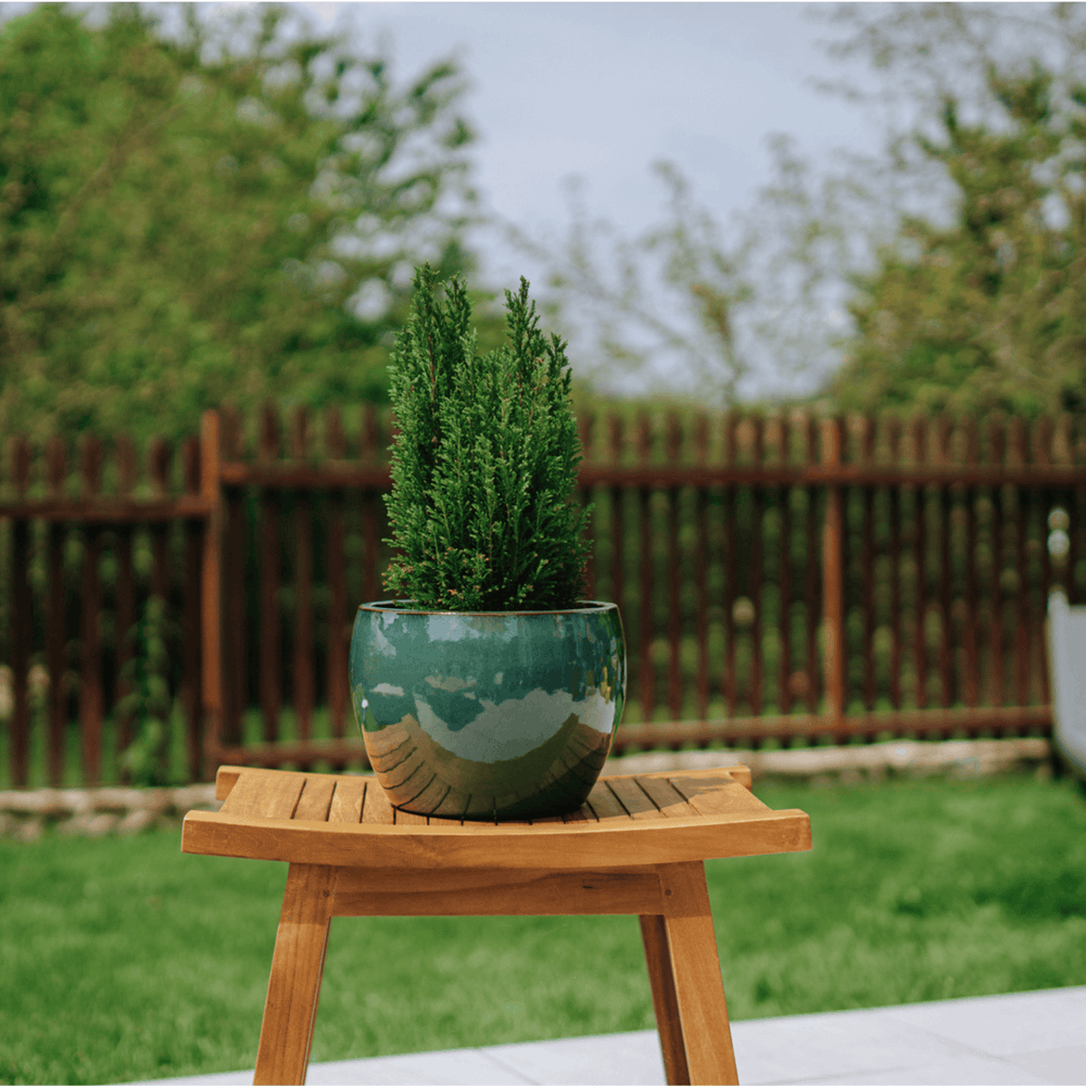 Planter ROMULUS 21x15cm jade