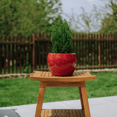 Pot ROMULUS 21x15cm rouge tropical