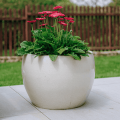 Pot ROMULUS 31x23cm crème