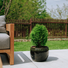 Vaso ROMULUS 31x23cm nero & verde