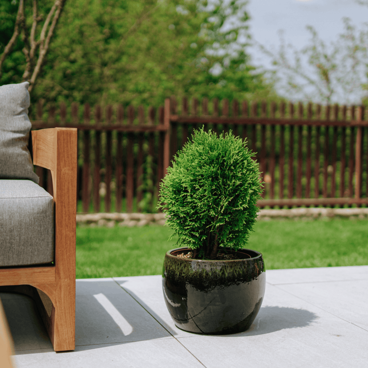 Pot ROMULUS rond 31x23 cm noir et vert en terre cuite émaillée, sur terrasse avec conifère