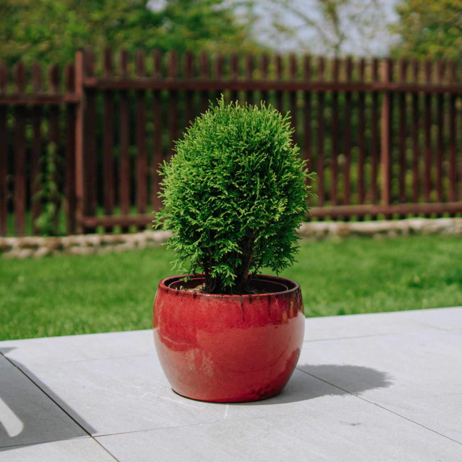 Pot ROMULUS 31x23cm rouge tropical Provencelia