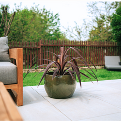 Pot ROMULUS 42x30cm vert tropical