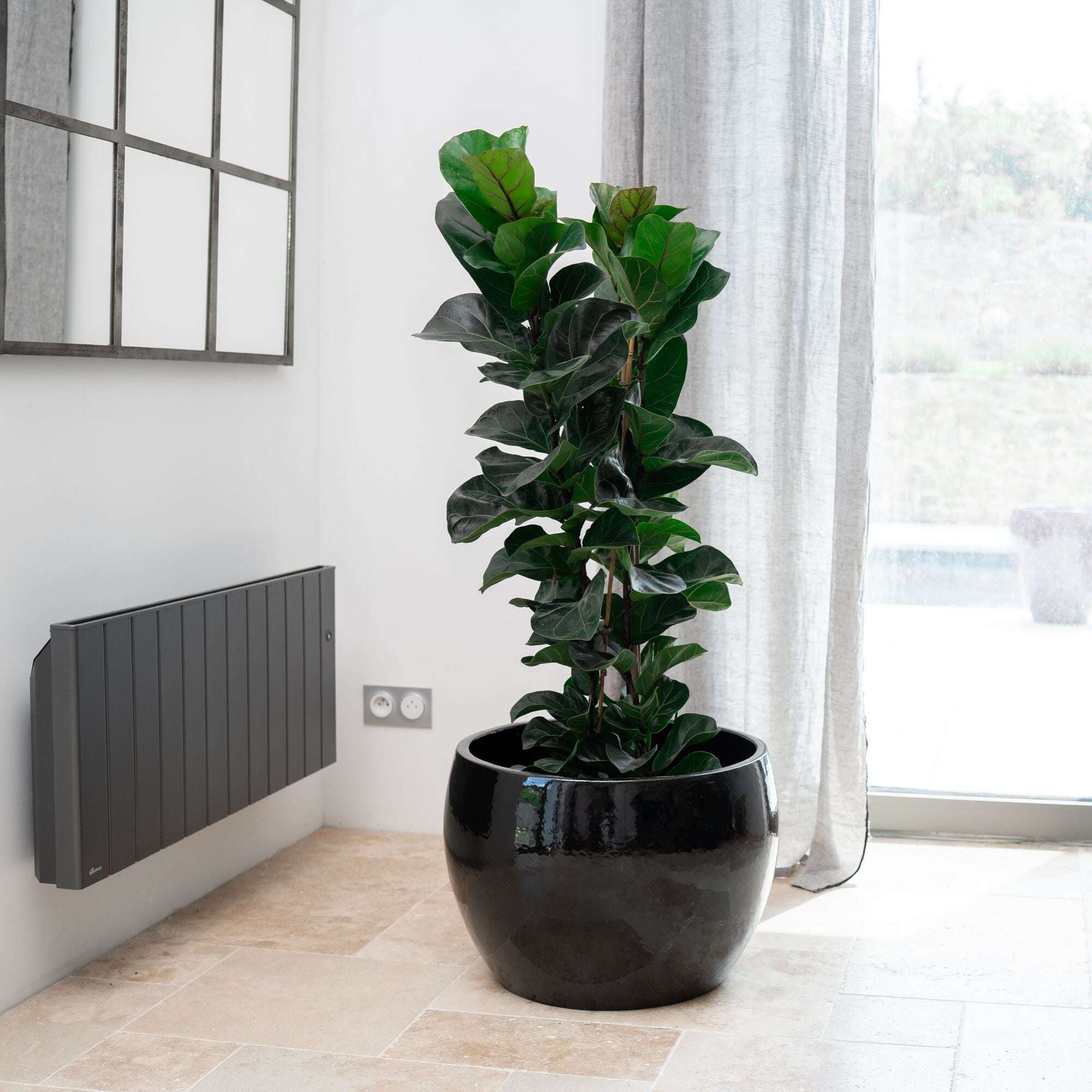 Pot ROMULUS 55x38cm noir Provencelia