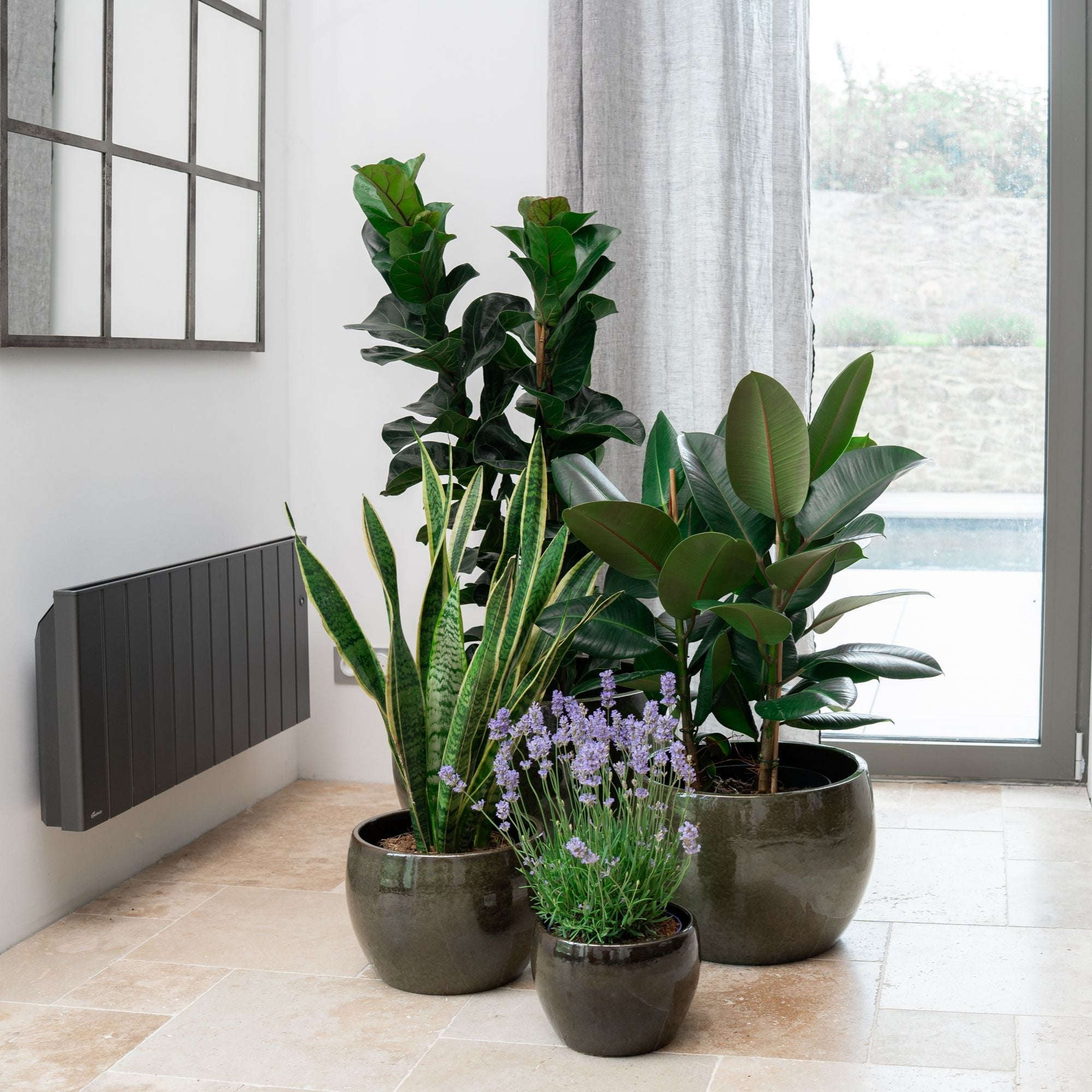 Pot ROMULUS 55x38cm vert tropical Provencelia