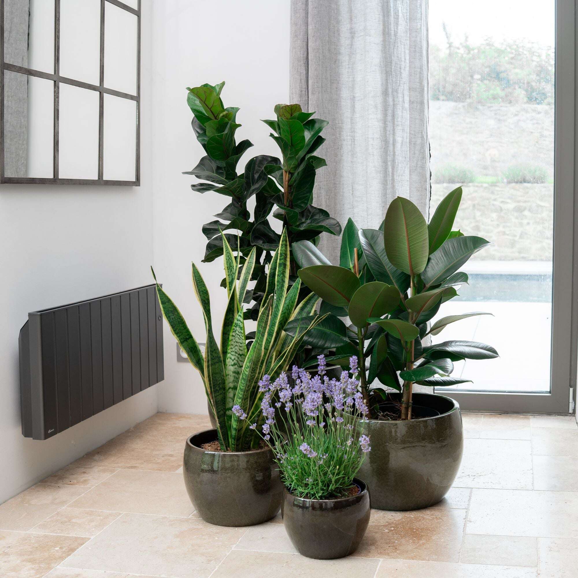 Pot ROMULUS 55x38cm vert tropical Provencelia