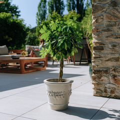 Pot ROUSSEAU 31x30cm crème