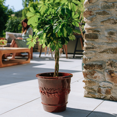 Pot ROUSSEAU 31x30cm rouge tropical