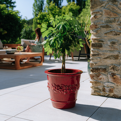 ROUSSEAU Pot 39x39cm tropical red