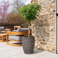 Pot VERSAILLES 38x54cm noir