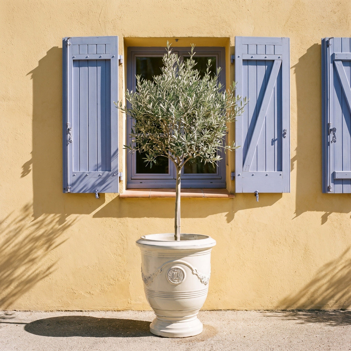 Vaso Richelieu con piedistallo 46x56 cm crema in ceramica smaltata, olivo sotto una finestra con persiane blu