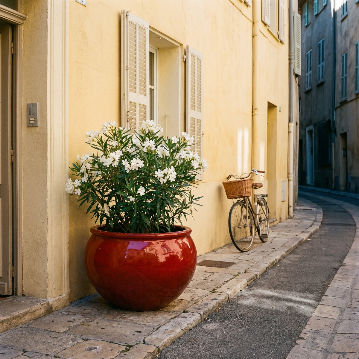 Vaso LUTECE rotondo 86x64 cm rosso tropicale in ceramica smaltata, con arbusto fiorito in una strada