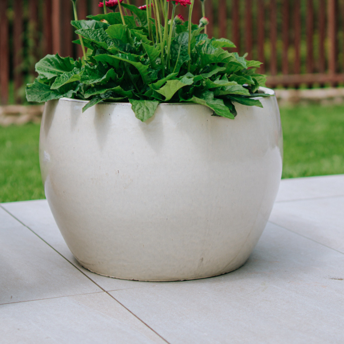 Ronde plantenbak Romulus 21x15 cm crème van geglazuurd keramiek, gevuld met bloemen op een terras