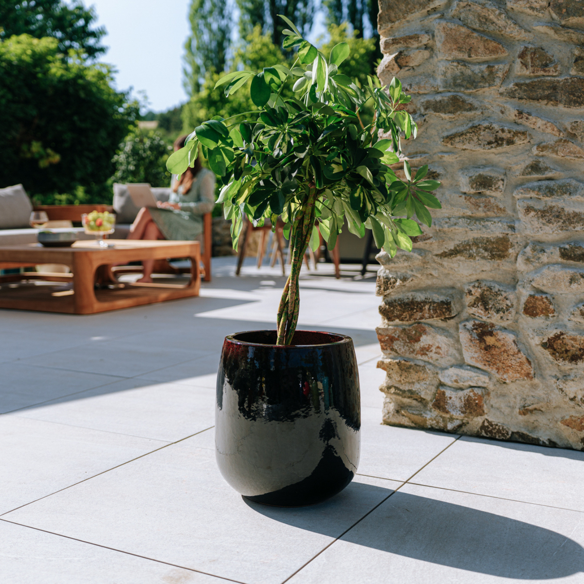 Pot Socrate rond 32x33 cm noir et rouge en terre cuite émaillée, planté d'un arbuste sur terrasse