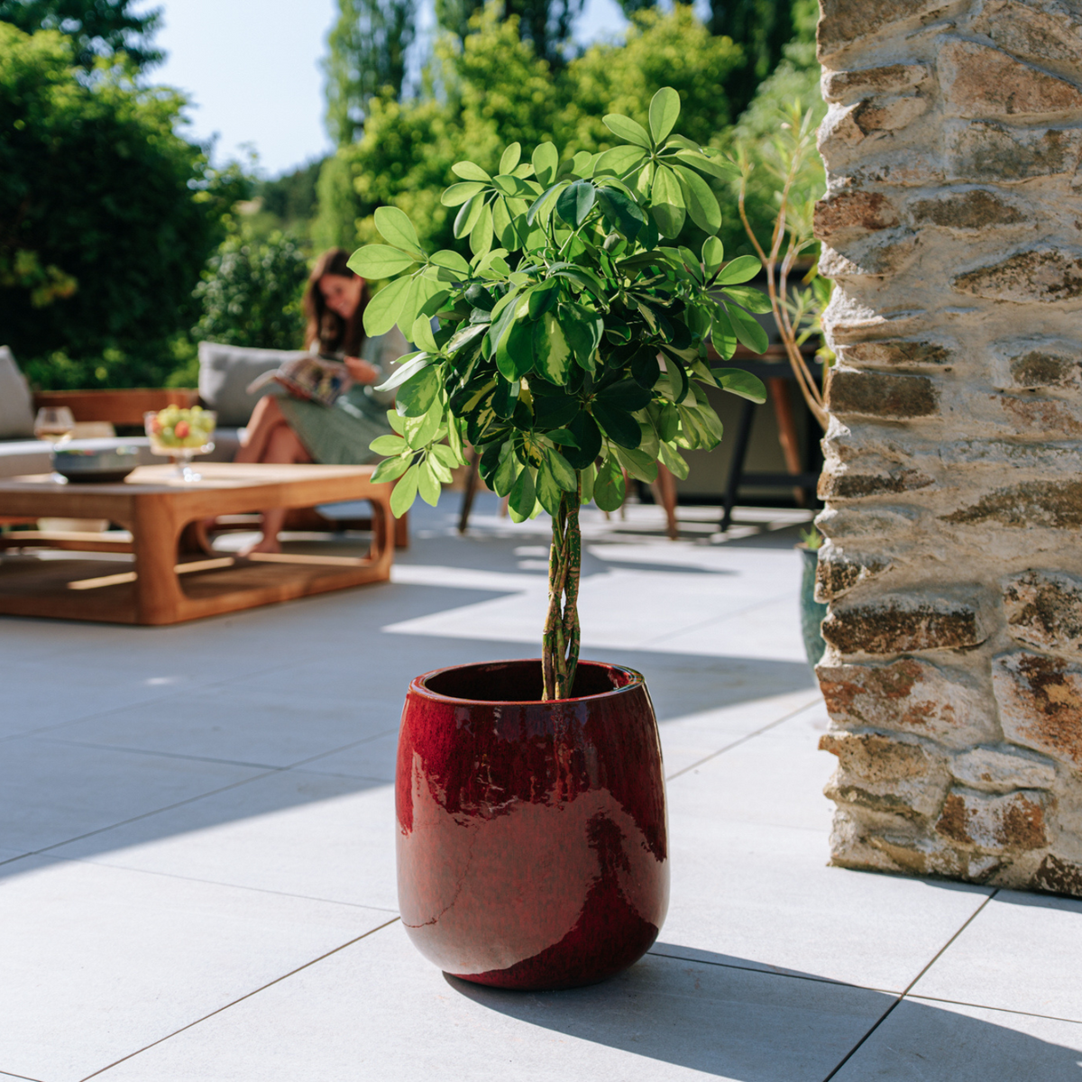Round Socrate planter 32x33 cm Tropical Red glazed ceramic, with tree on a terrace