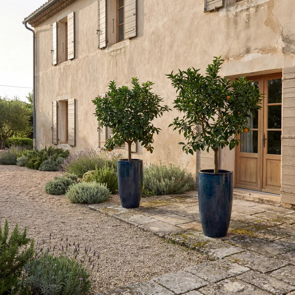 Sapphire Eiffel glazed ceramic planter, with citrus trees in front of the house