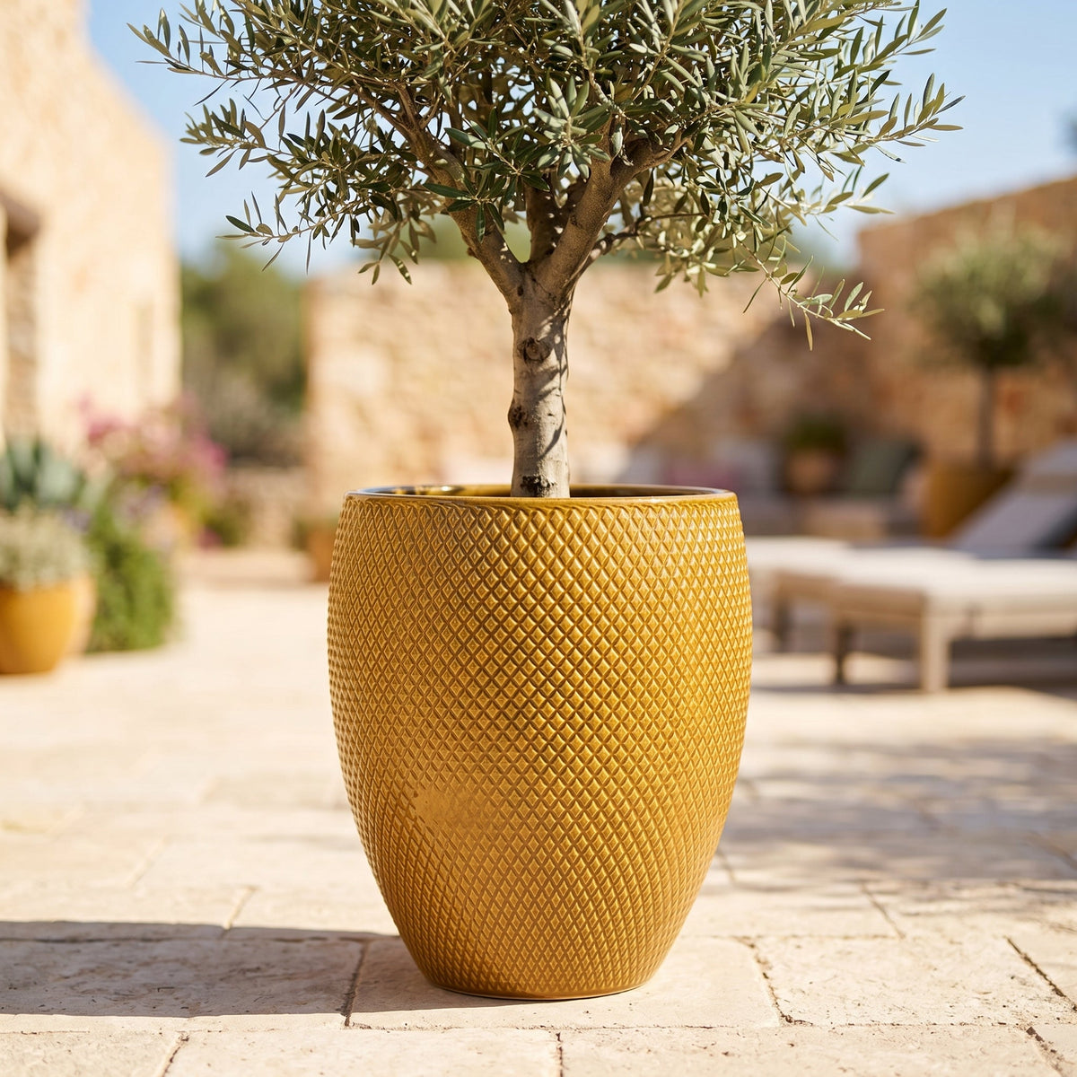 Decorative Signac planter 38x44 cm Honey in glazed ceramic, front view with olive tree