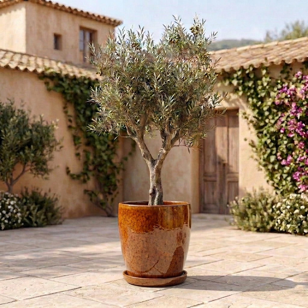 Sottovaso in ceramica arancione tropicale per vaso – resistente al gelo