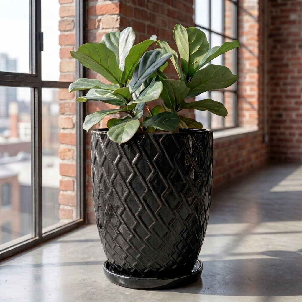 Black ceramic planter saucer – frost-resistant