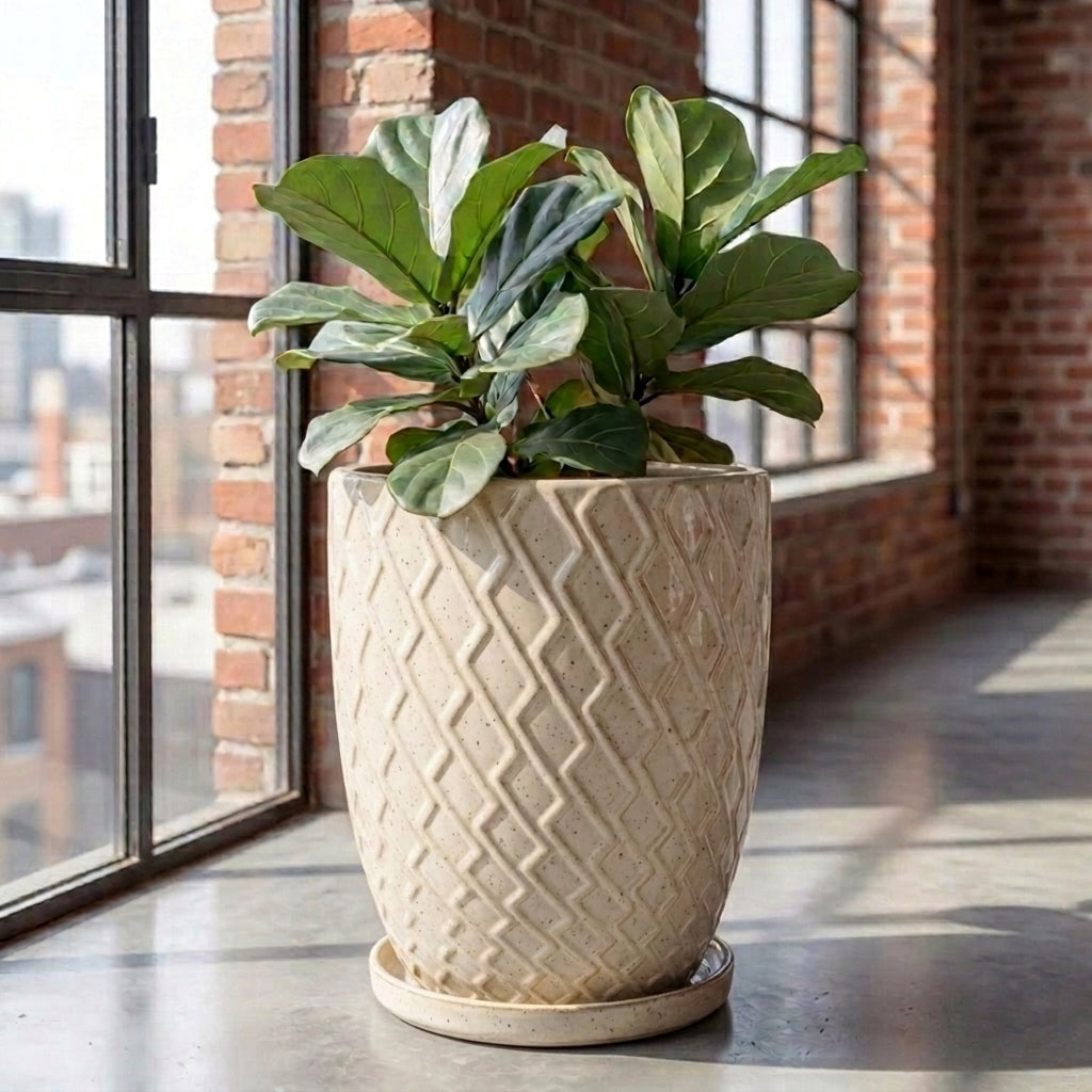 Cream ceramic planter saucer – frost-resistant