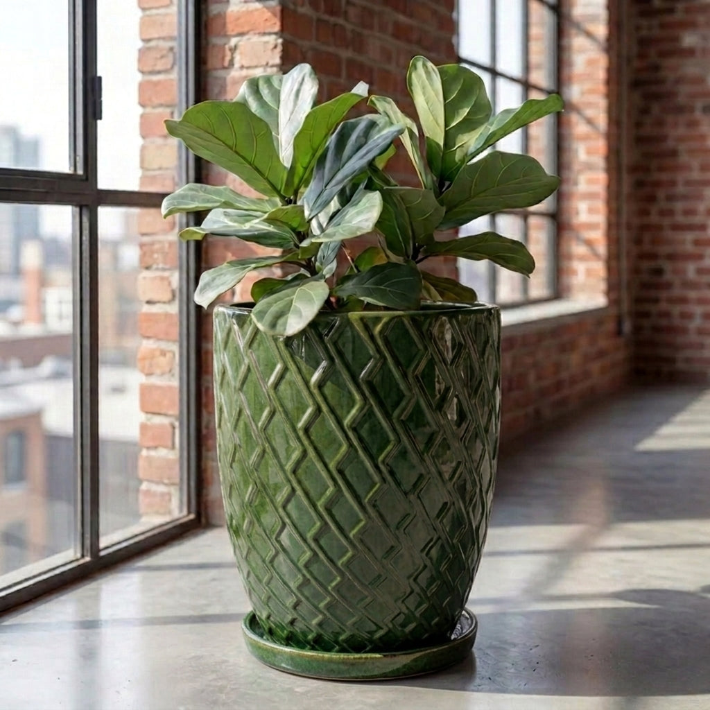 Sottovaso in ceramica verde tropicale per vaso – resistente al gelo