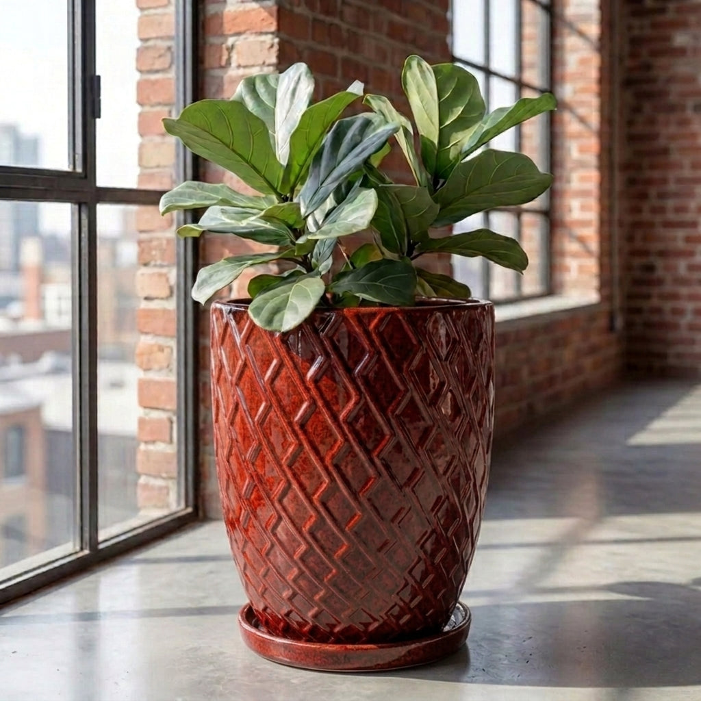Tropical red ceramic planter saucer – frost-resistant