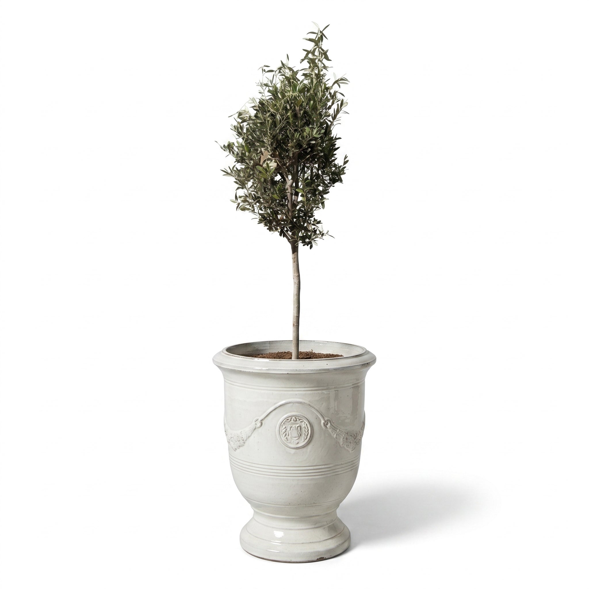 Lot olivier + pot RICHELIEU 46x56cm perle, fait main en terre cuite émaillée