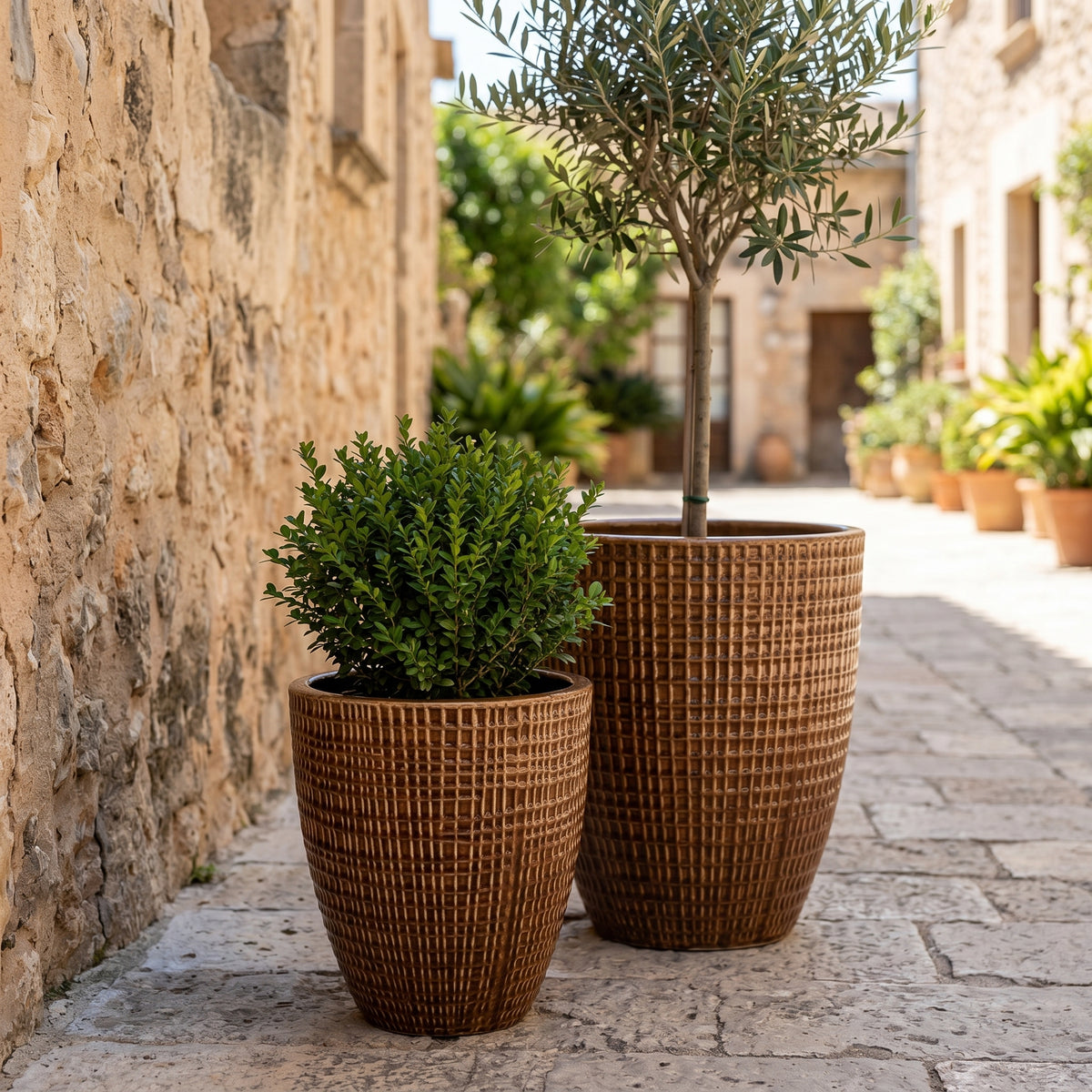 Vaso decorativo Verne Corteccia in ceramica smaltata, con ulivo e arbusto