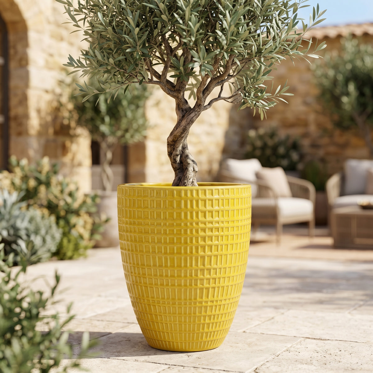 Pot Verne décoratif jaune en terre cuite émaillée, vue de face avec olivier