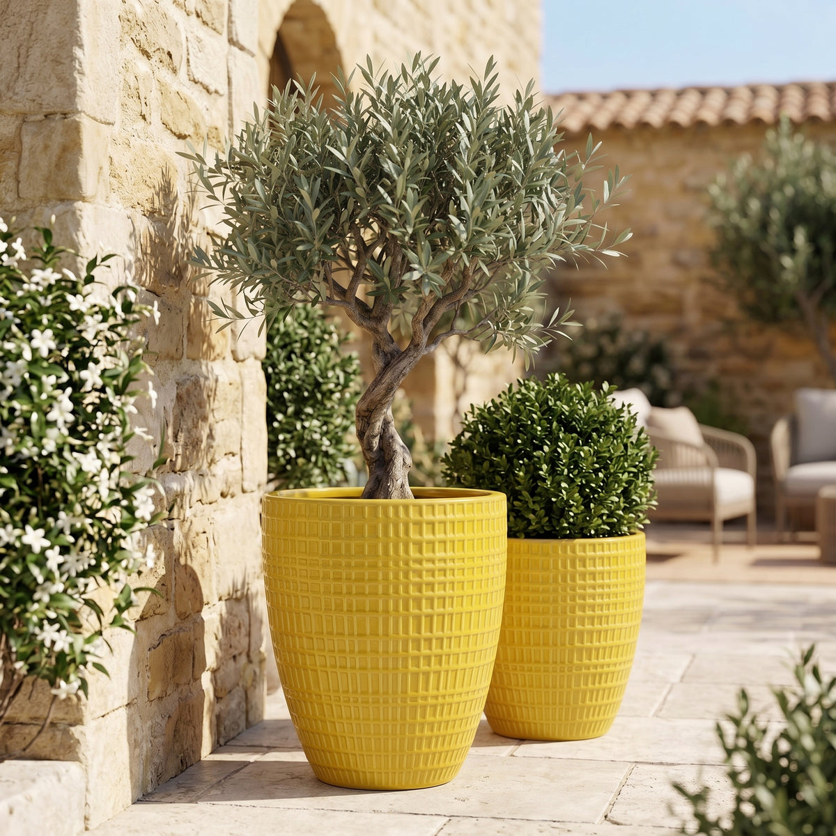 Vaso decorativo Verne Giallo in ceramica smaltata, vista laterale con ulivo e arbusto