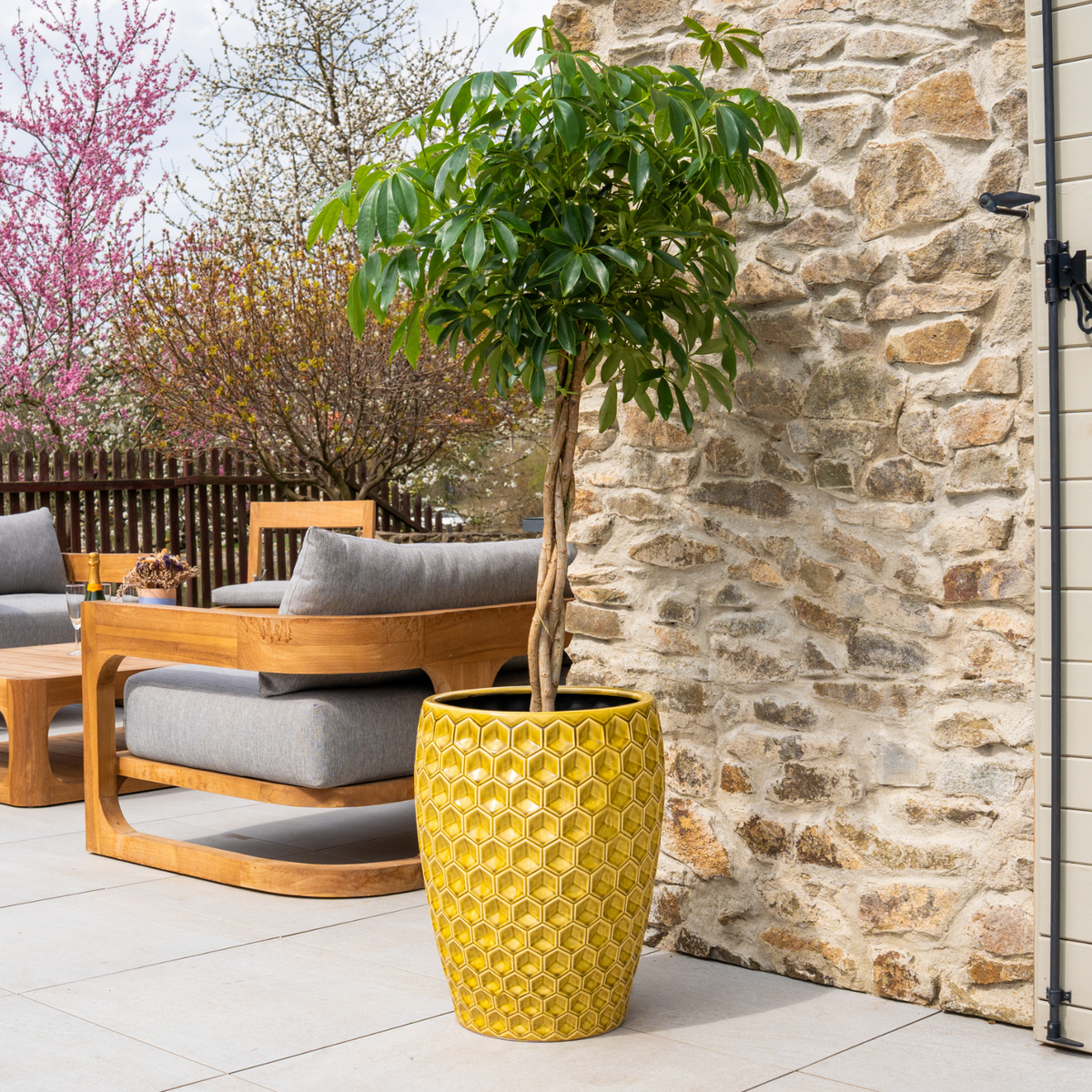 Pot Versailles décoratif 38x54 cm heliodore en terre cuite émaillée, avec arbuste sur terrasse